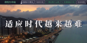 渐构与B站都有的最新学习理论课目录-ICD空间