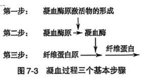 病案信息技术第7章生理学 第三节 血 液-ICD空间