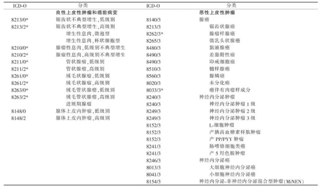 管状腺瘤上皮内瘤变的分级与编码 - ICD空间-ICD空间
