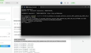 WINDOWS11的版本-ICD空间